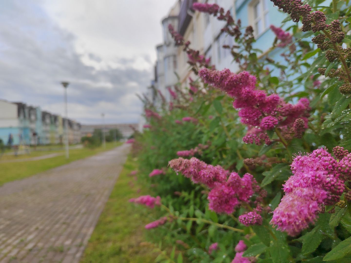 Пушкино, СВО, помощь, волонтеры, Пушкинский округ, Лесной