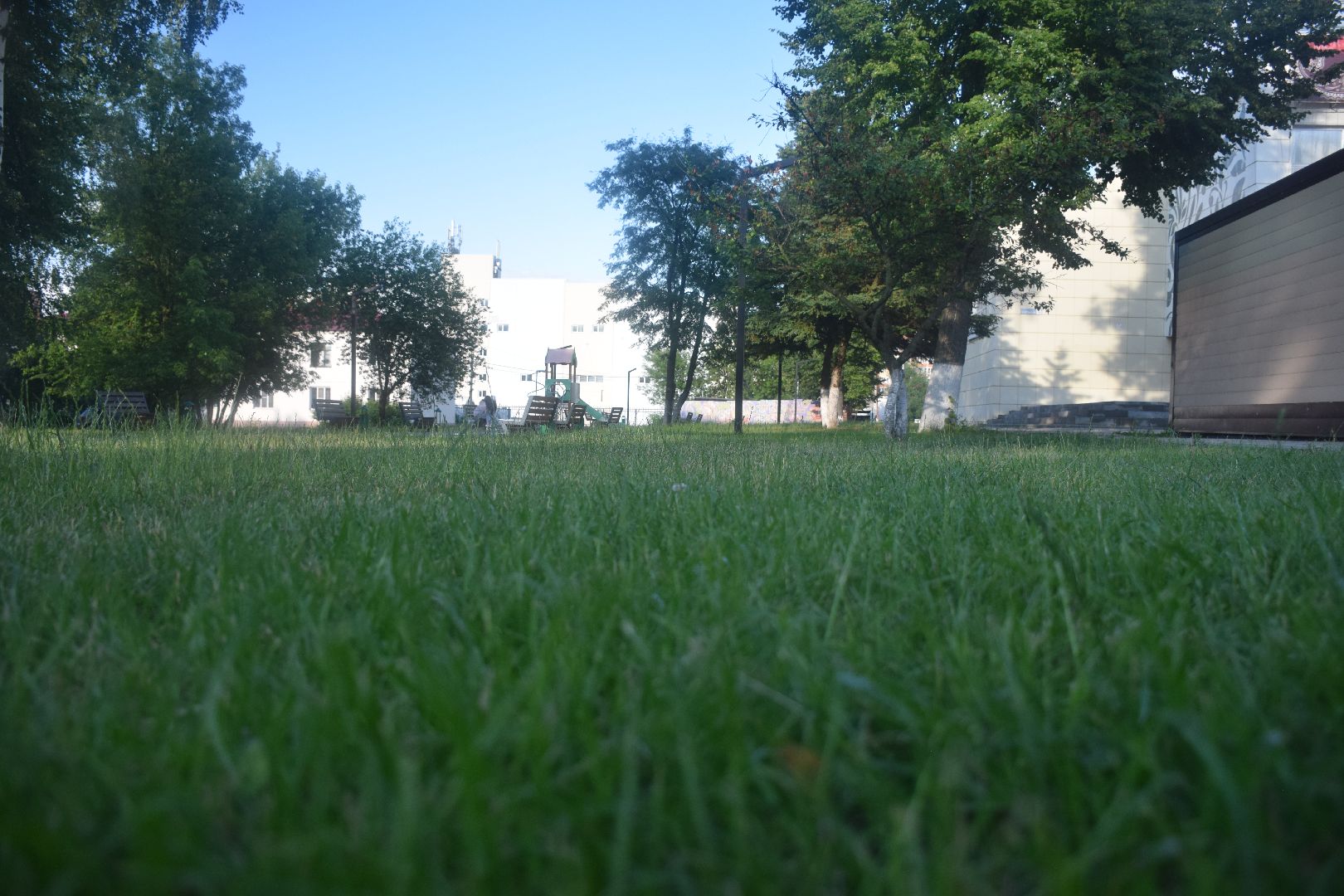 Павловский Посад, городской округ Павловский Посад, благоустройство, трава, покос, люди, город