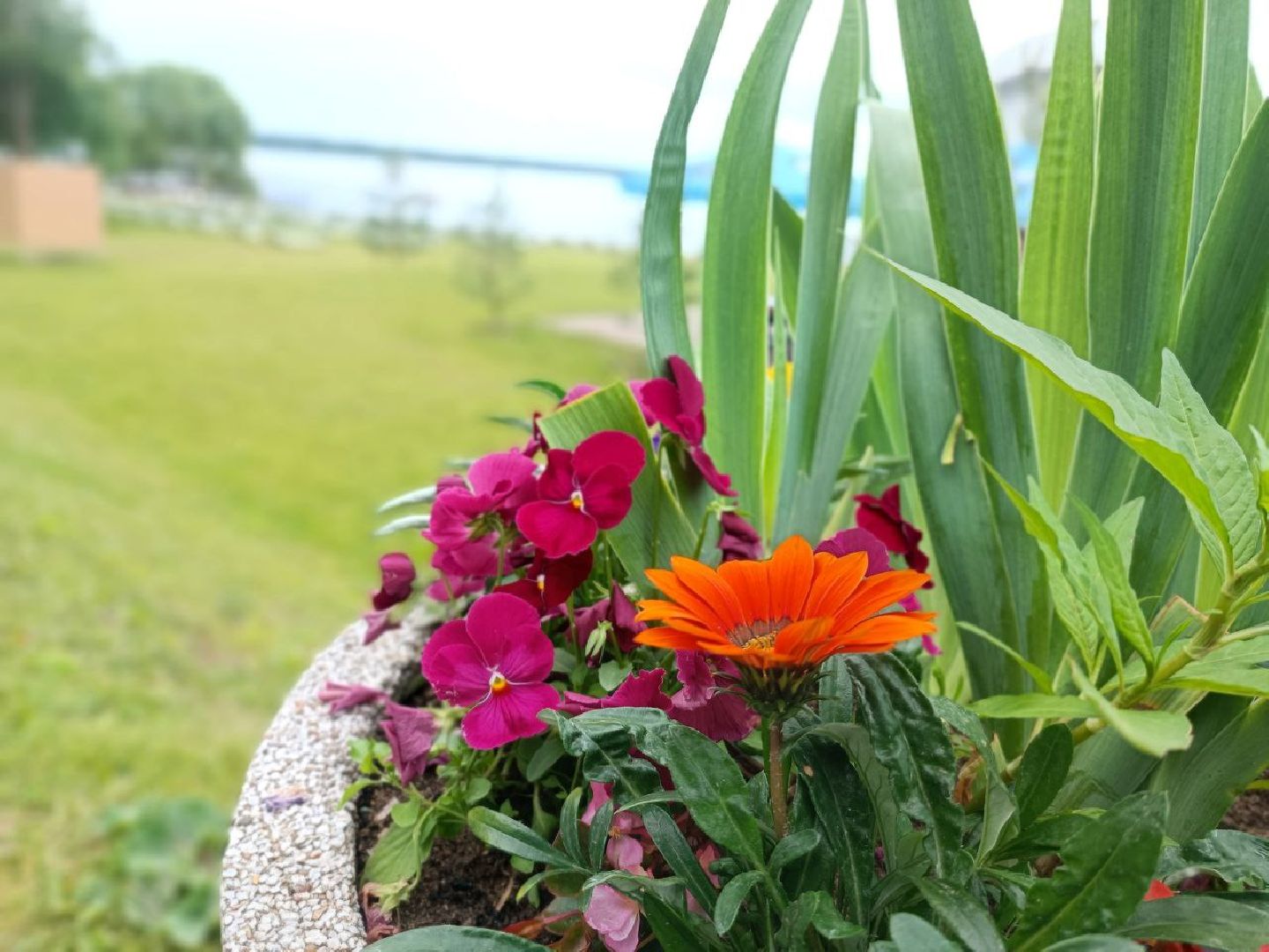 Можайск, Можайский городской округ, Подмосковье, пляж, купальный сезон, лето, безопасность