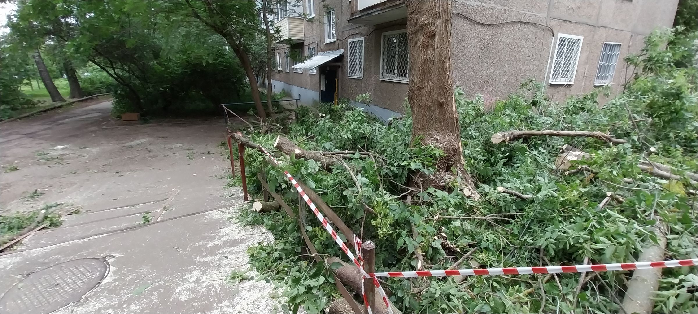 Коломна, опил деревьев, благоустройство