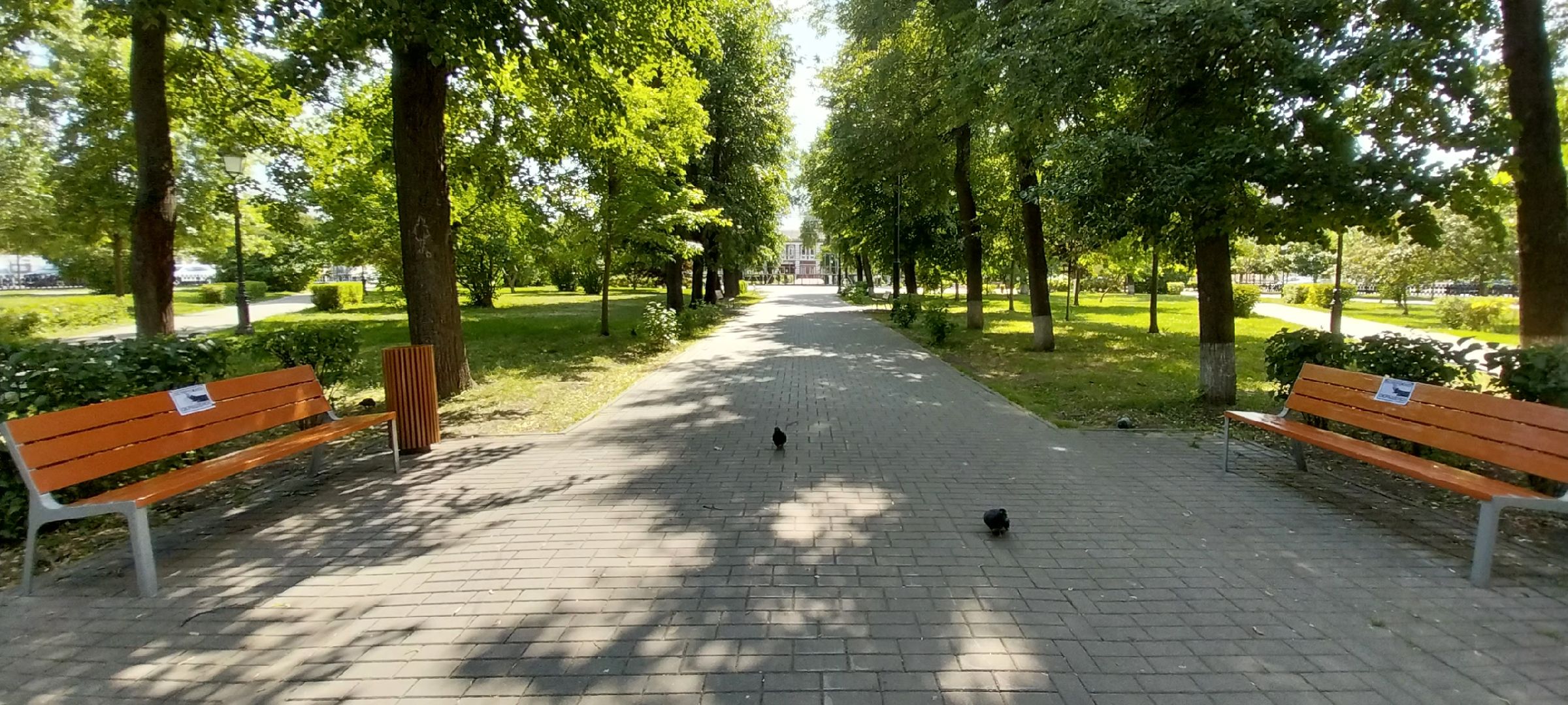 Коломна, лавочки, сквер