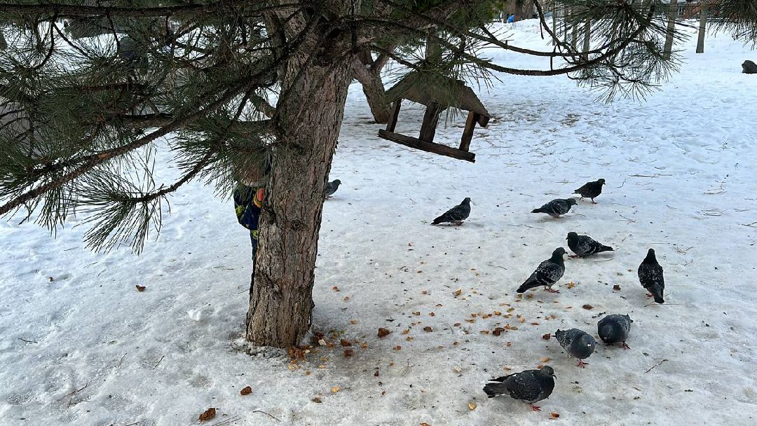 Одинцово, Благоустройство, Малые города, Минстрой, Всероссийский конкурс лучших проектов