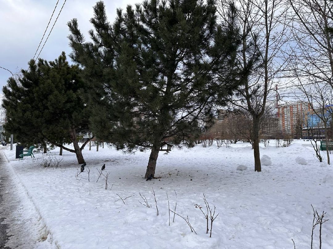 Одинцово, Благоустройство, Малые города, Минстрой, Всероссийский конкурс лучших проектов