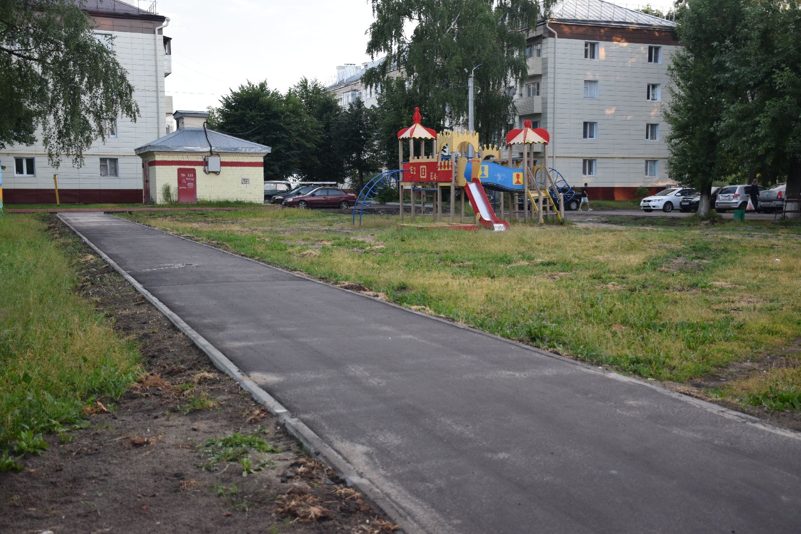 Электрогорск, городской округ Павловский Посад, дорога, тротуар, асфальт, тропа, пешком