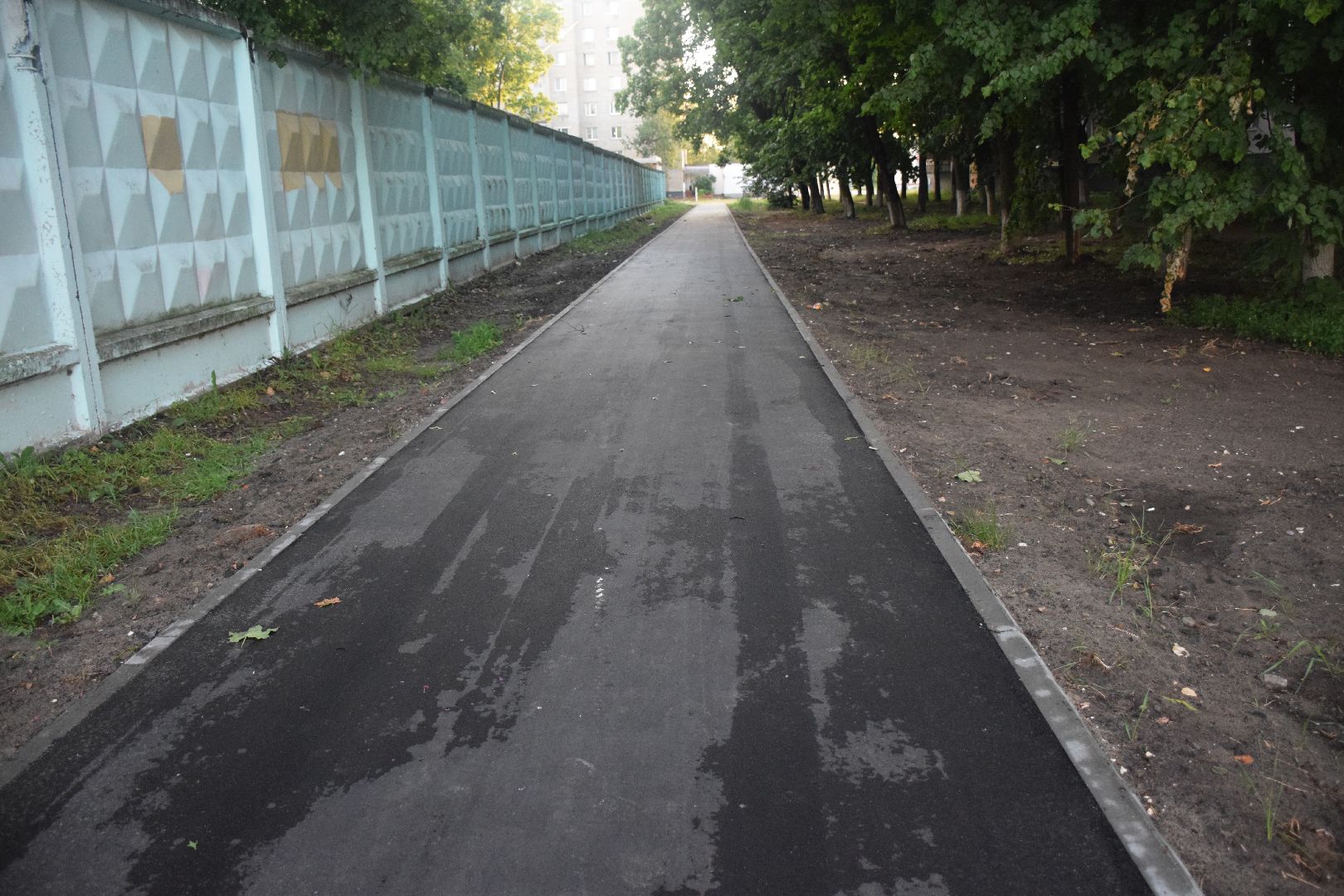 Электрогорск, городской округ Павловский Посад, дорога, тротуар, асфальт, тропа, пешком