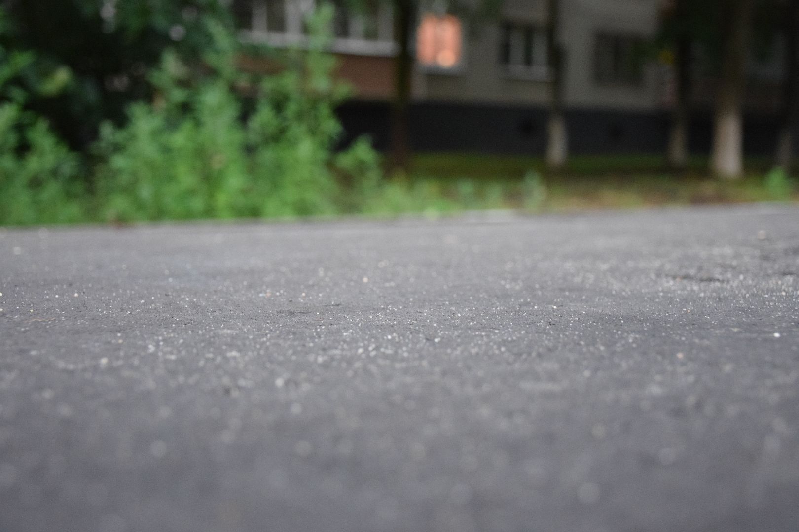 Электрогорск, городской округ Павловский Посад, дорога, тротуар, асфальт, тропа, пешком