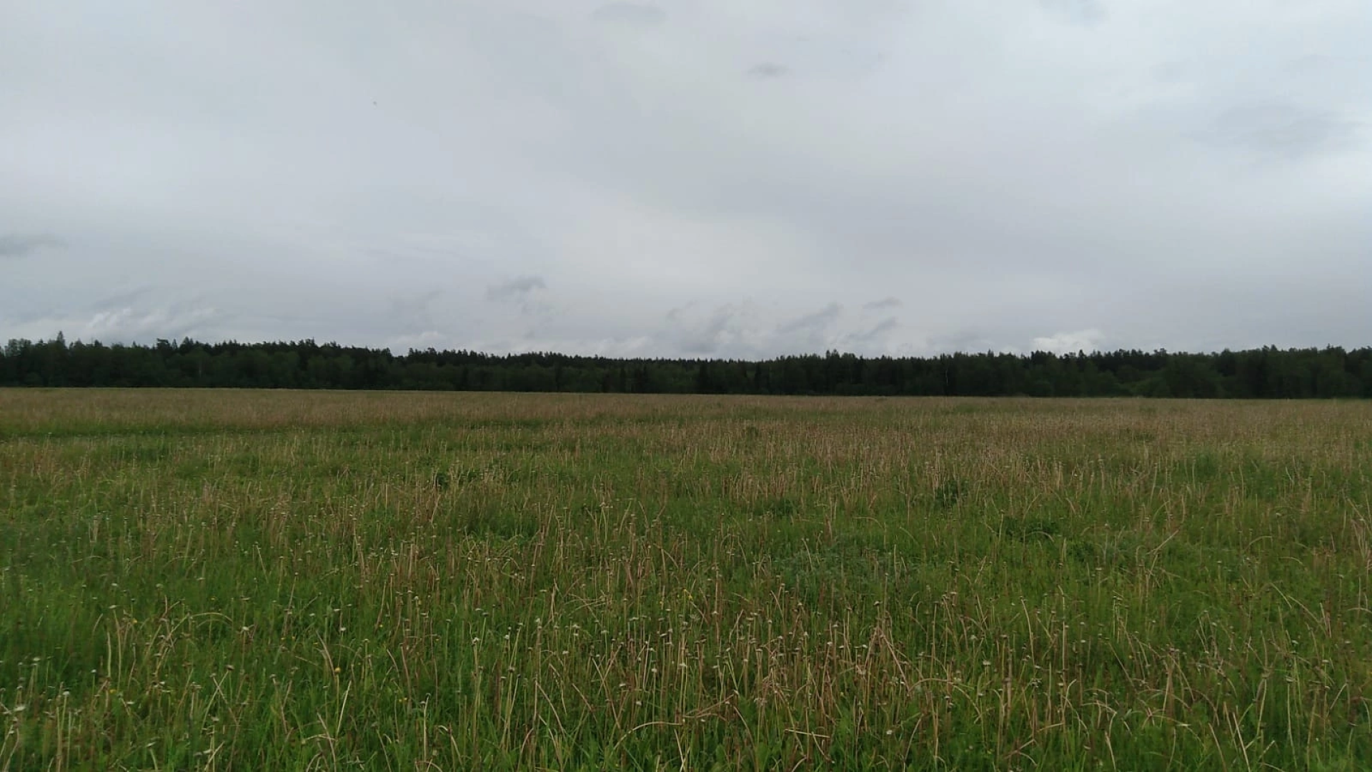 Наро-Фоминский городской округ, поисковое движение России, Пе-2, Великая Отечественная война, история, память, Отряд «Бумеранг-ДОСААФ»