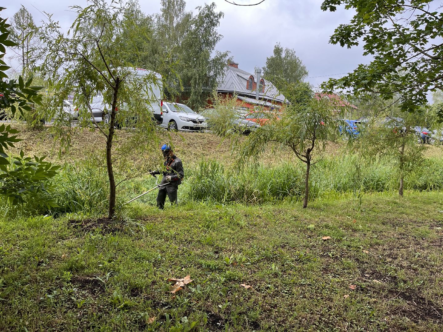 Шаховская, трава, покос, Лера, благоустройство