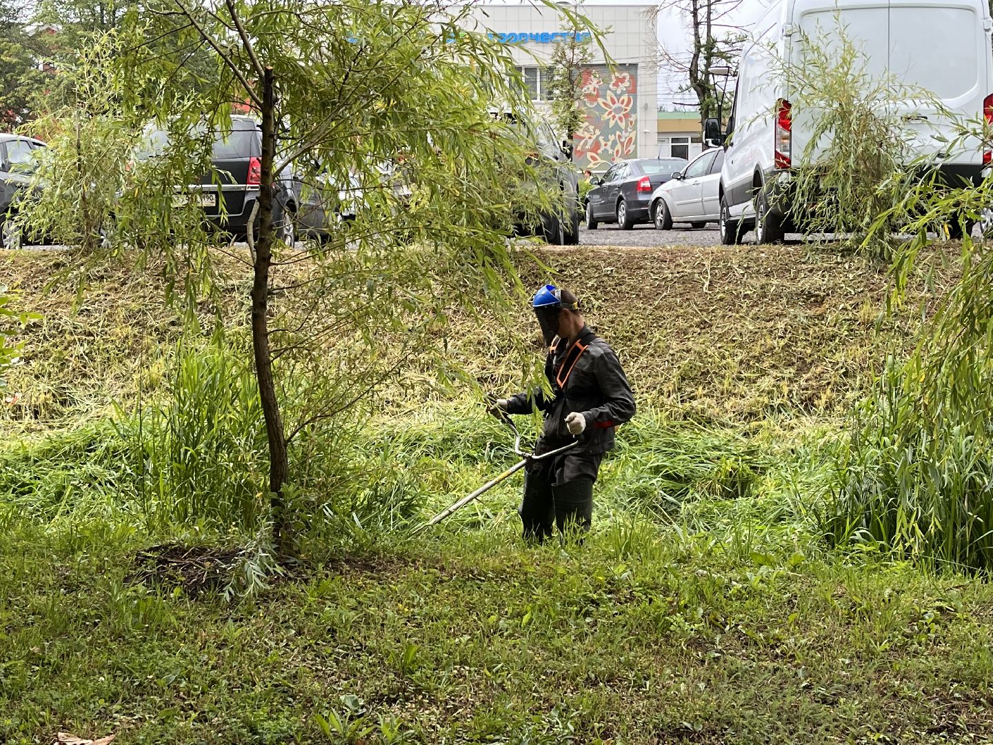 Шаховская, трава, покос, Лера, благоустройство