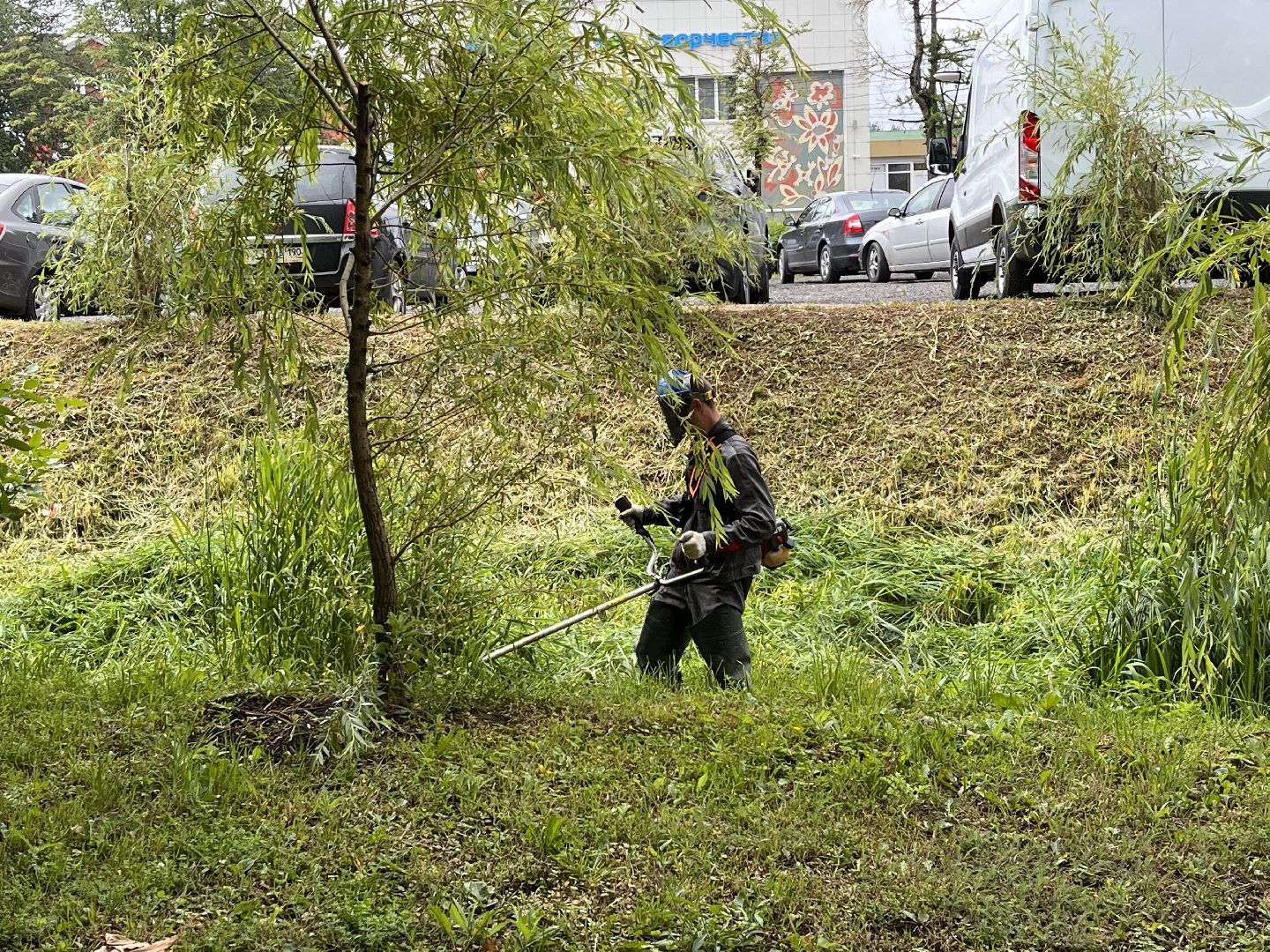 Шаховская, трава, покос, Лера, благоустройство