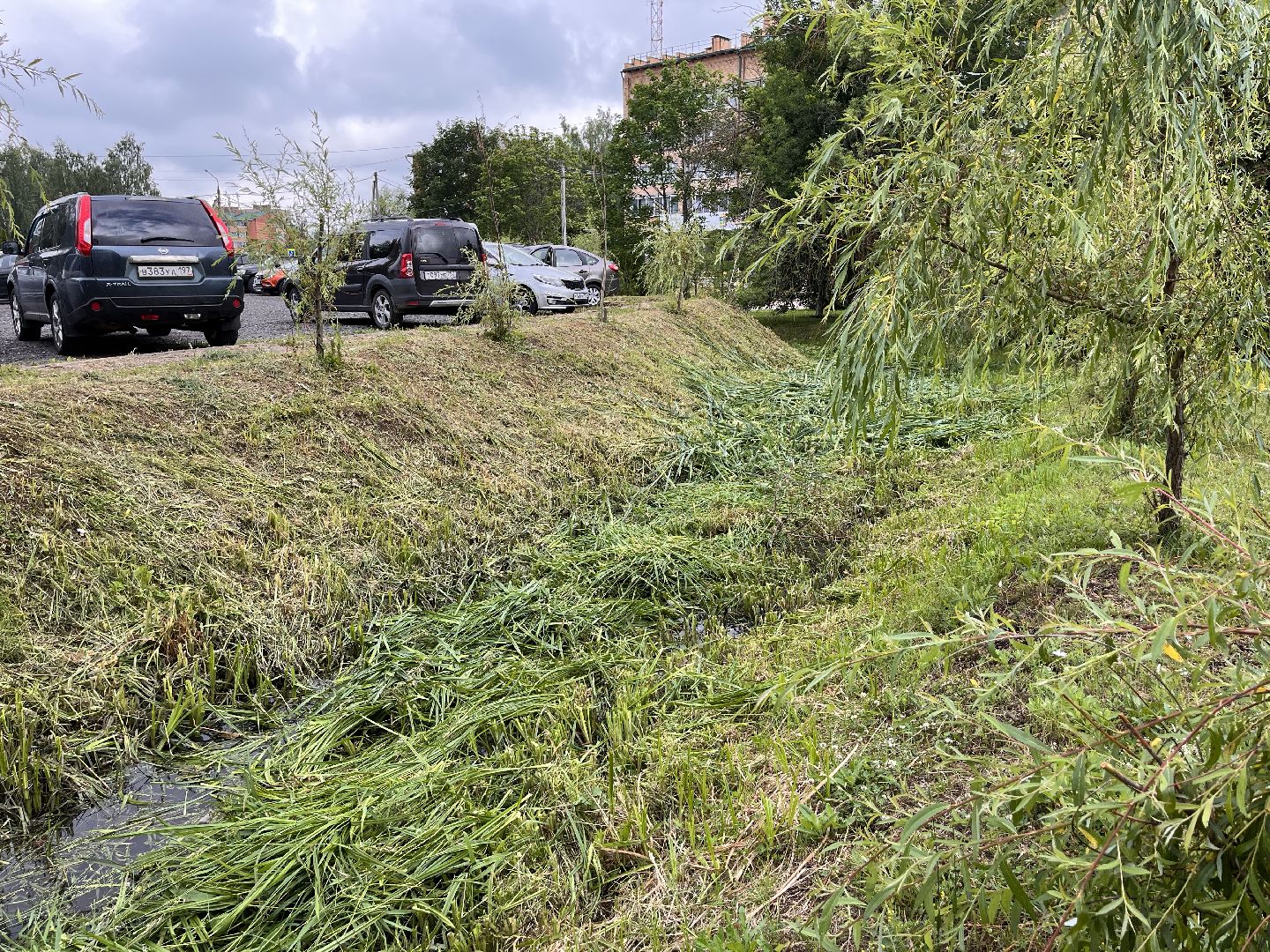 Шаховская, трава, покос, Лера, благоустройство