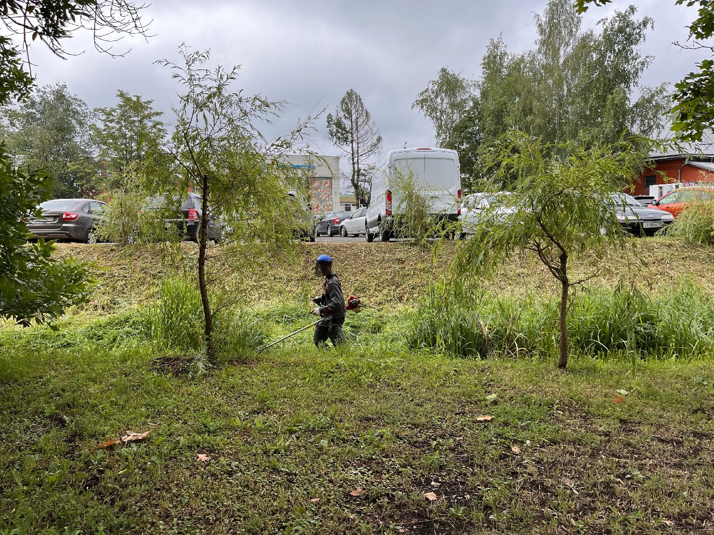 Шаховская, трава, покос, Лера, благоустройство