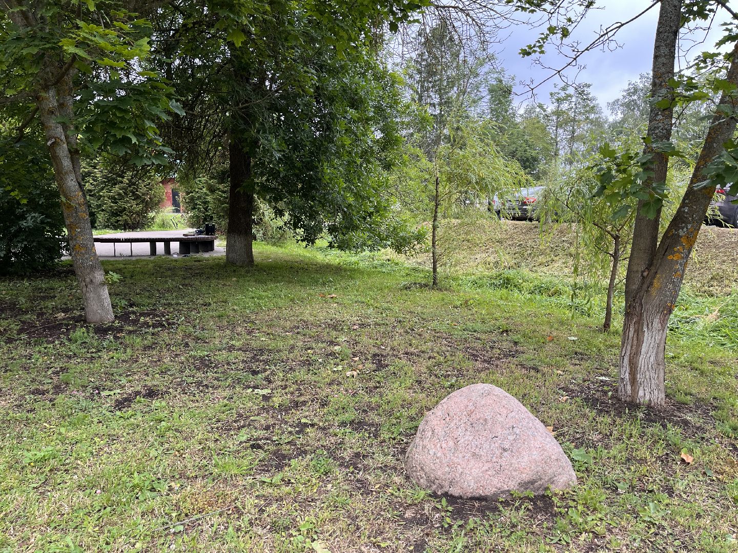 Шаховская, трава, покос, Лера, благоустройство