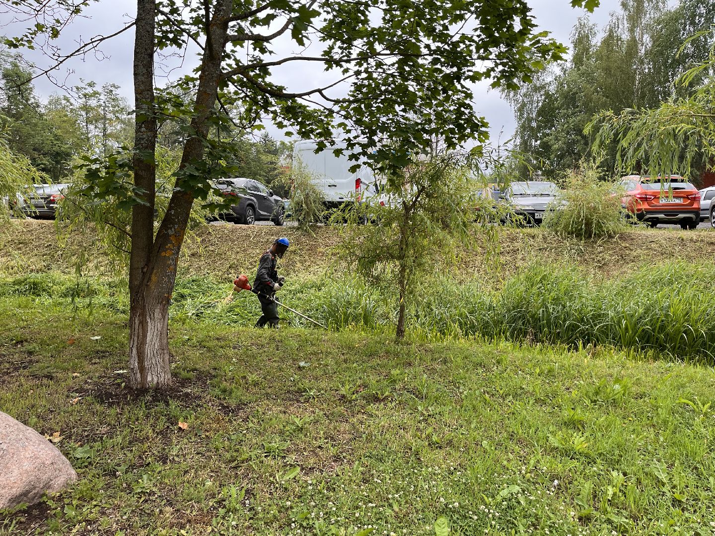 Шаховская, трава, покос, Лера, благоустройство