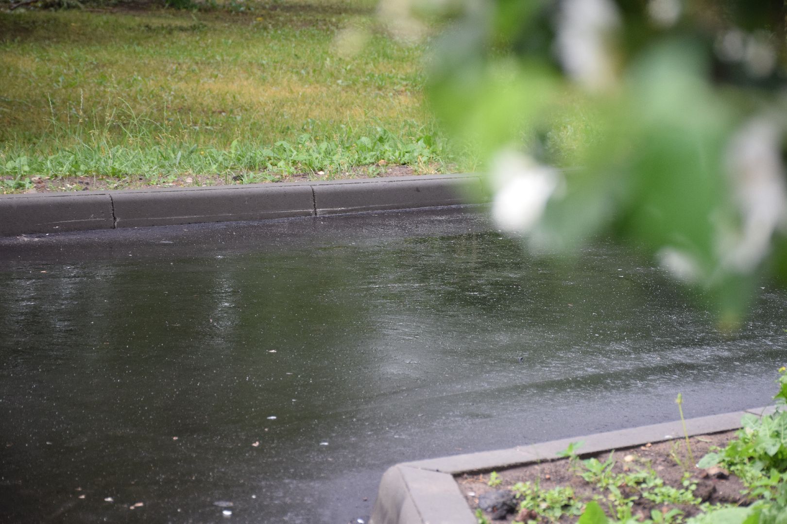 Павловский Посад, городской округ Павловский Посад, благоустройство, парковка, асфальт, двор, жители,