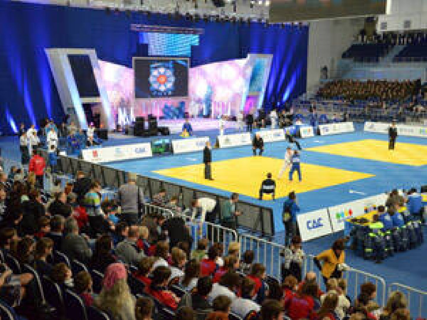 Звенигород, академия Федерации дзюдо России, спорт