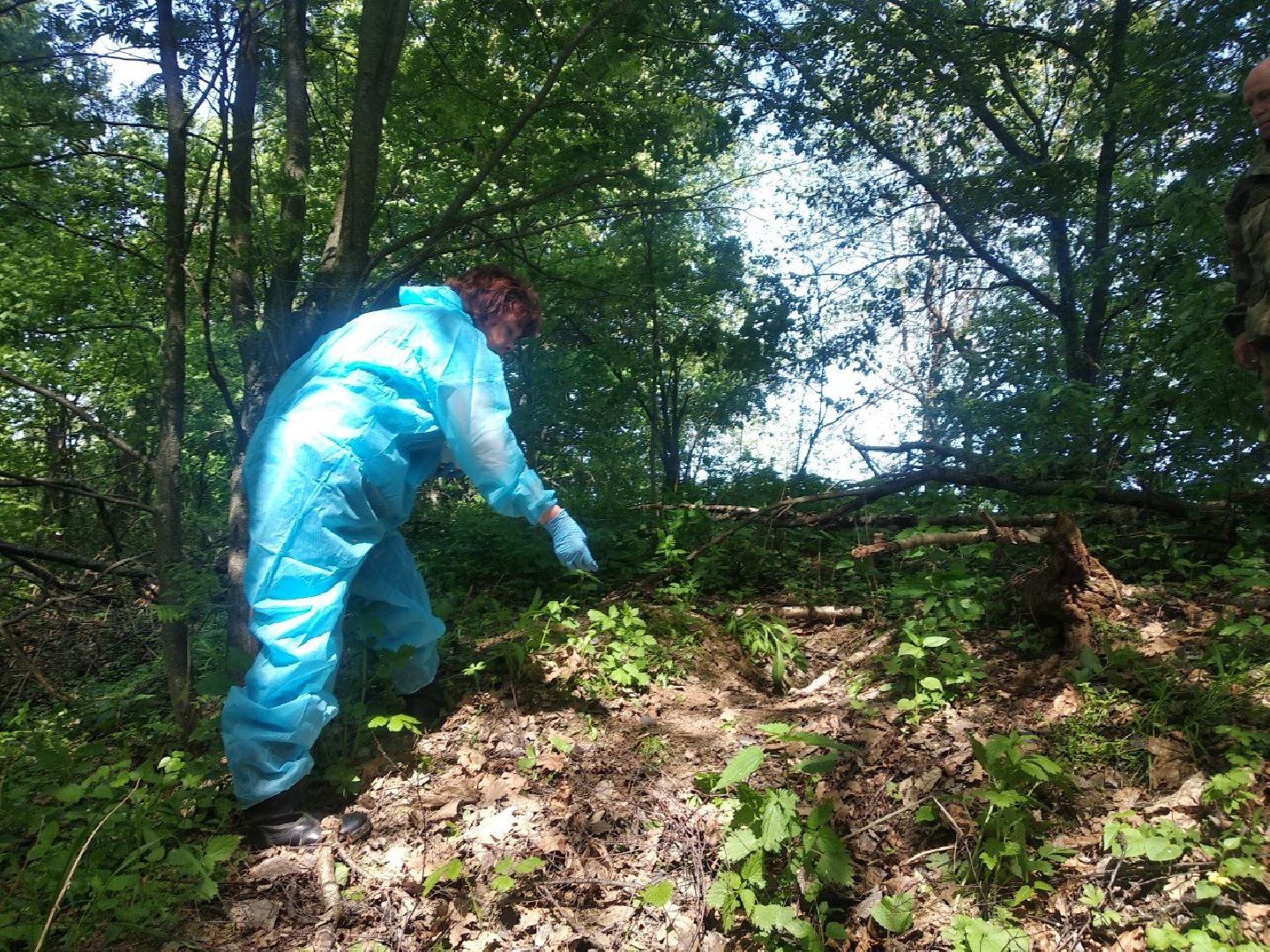 Дмитров, Карантин по бешенству, Губернатор Воробьев