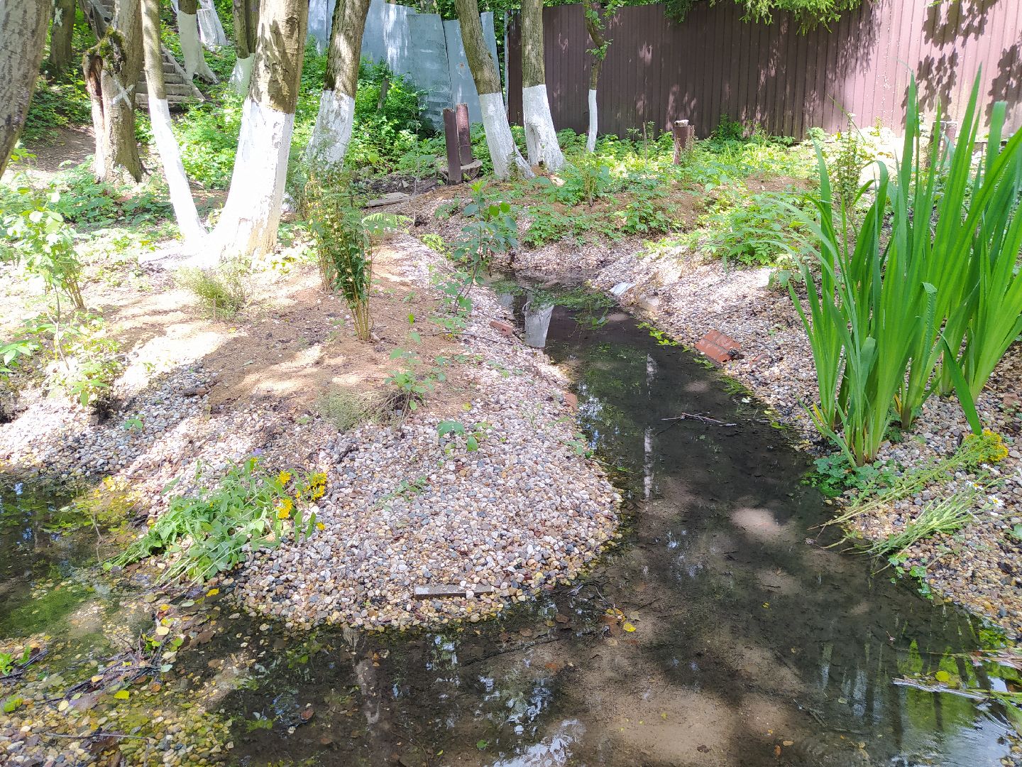Нахабино, родник, святой источник, благоустройство