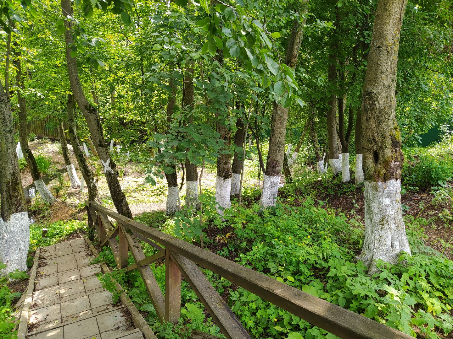 Нахабино, родник, святой источник, благоустройство