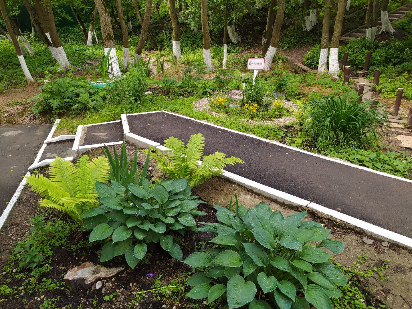 Нахабино, родник, святой источник, благоустройство