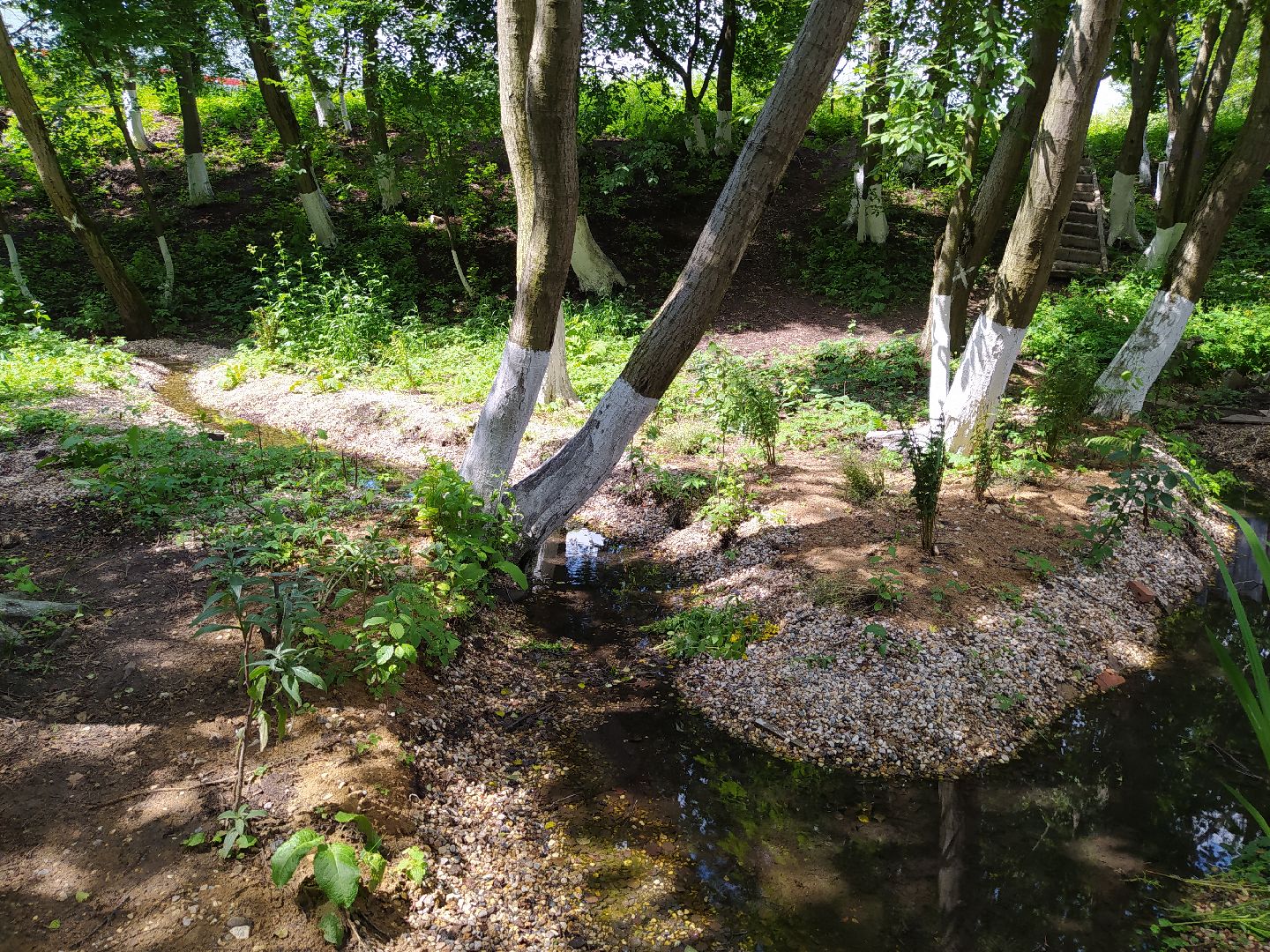 Нахабино, родник, святой источник, благоустройство