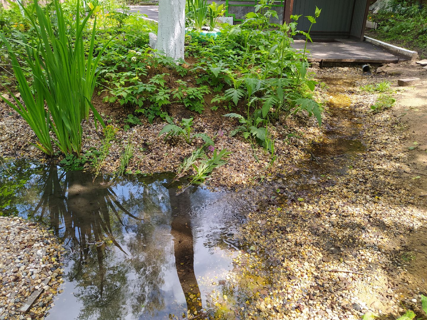 Нахабино, родник, святой источник, благоустройство