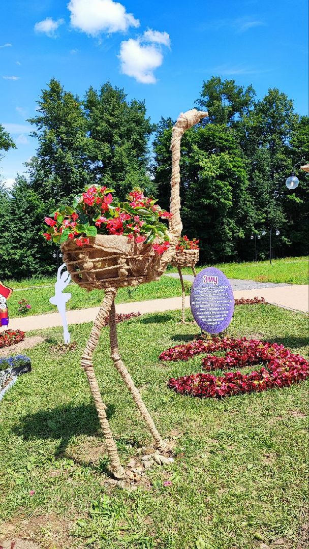 Клин, культура, фестивали, цветы, общество, лето