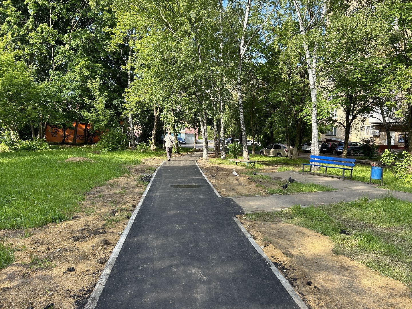 Народная тропа, программа губернатора, Фрязино, благоустройство