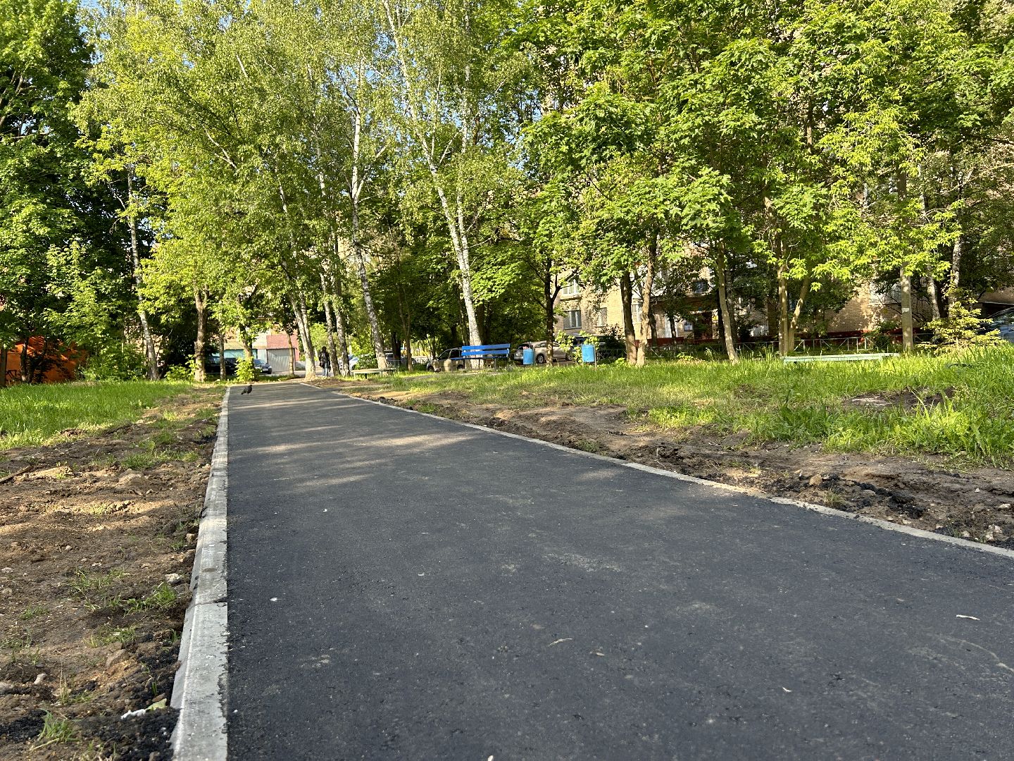 Народная тропа, программа губернатора, Фрязино, благоустройство