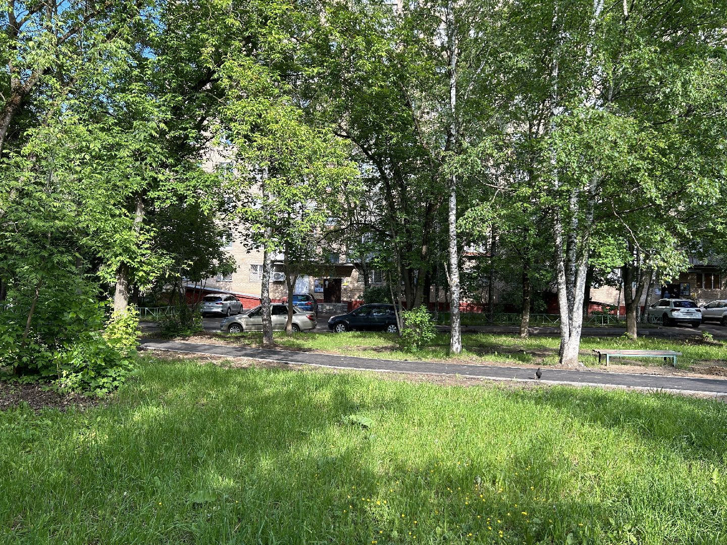 Народная тропа, программа губернатора, Фрязино, благоустройство