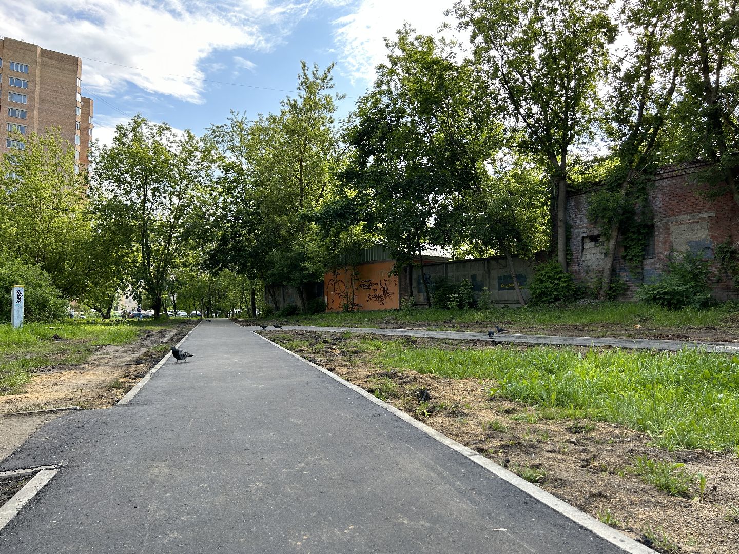 Народная тропа, программа губернатора, Фрязино, благоустройство