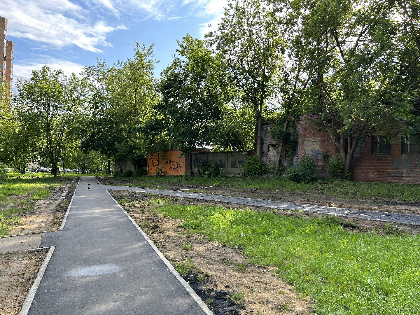 Народная тропа, программа губернатора, Фрязино, благоустройство