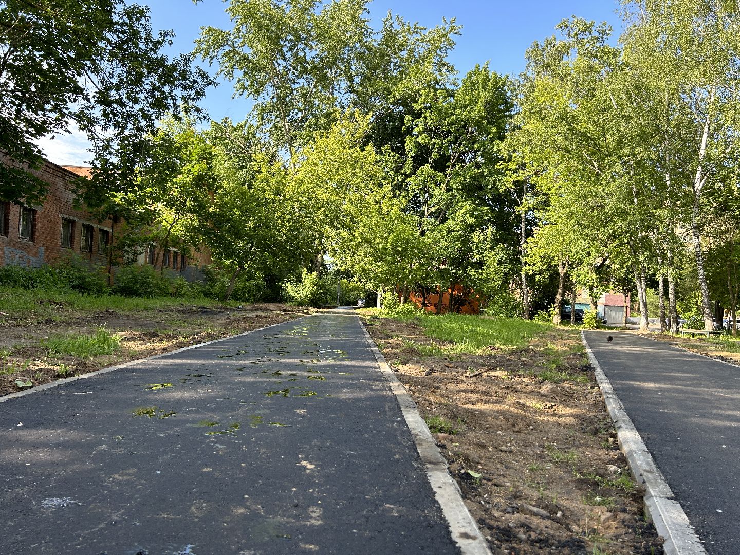 Народная тропа, программа губернатора, Фрязино, благоустройство