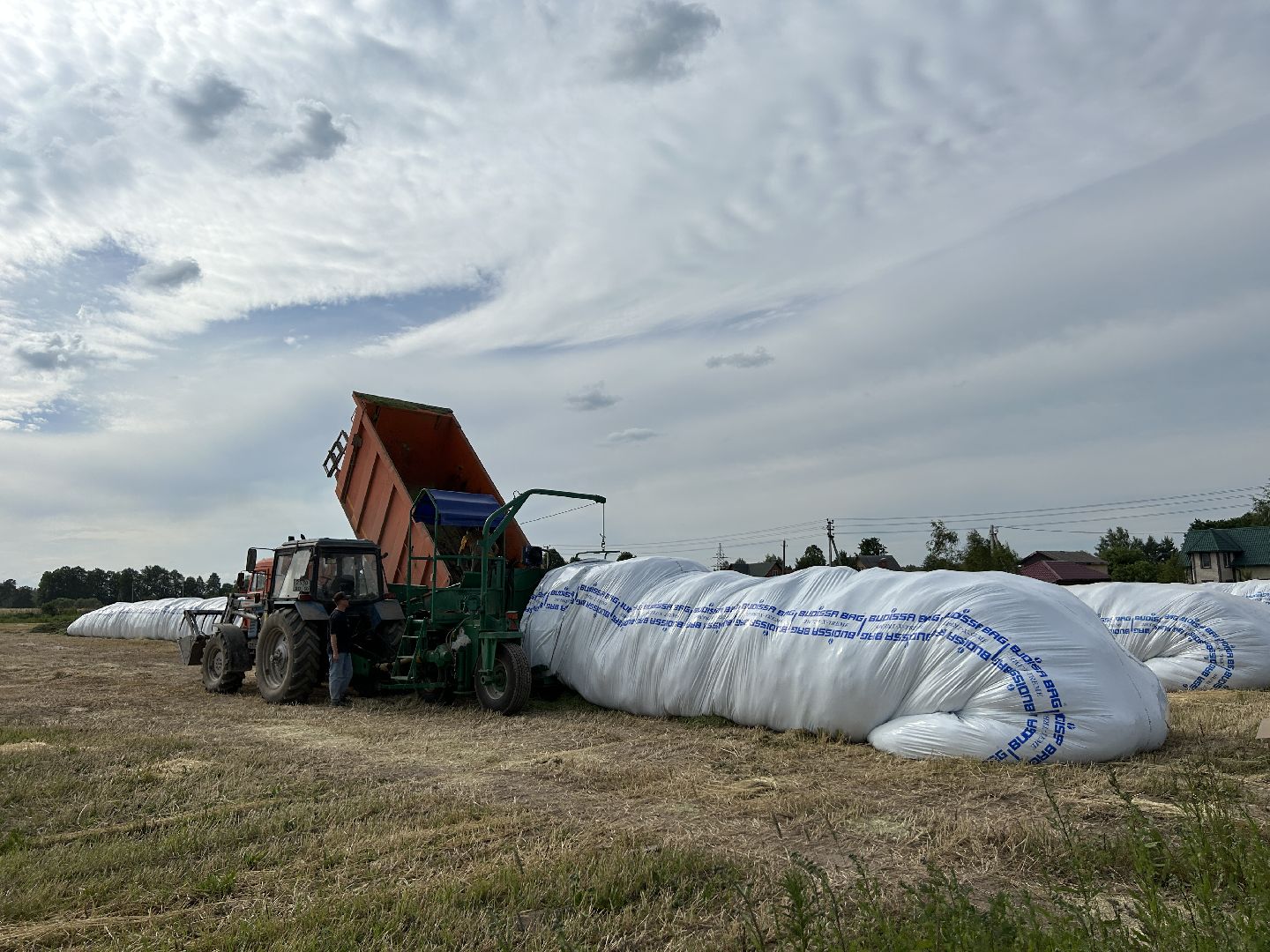 сельское хозяйство, ферма, аренда земли, Щёлково