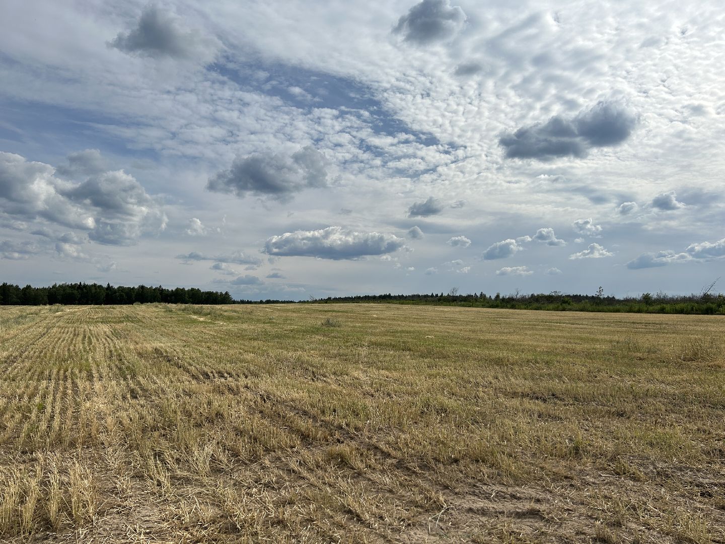 сельское хозяйство, ферма, аренда земли, Щёлково