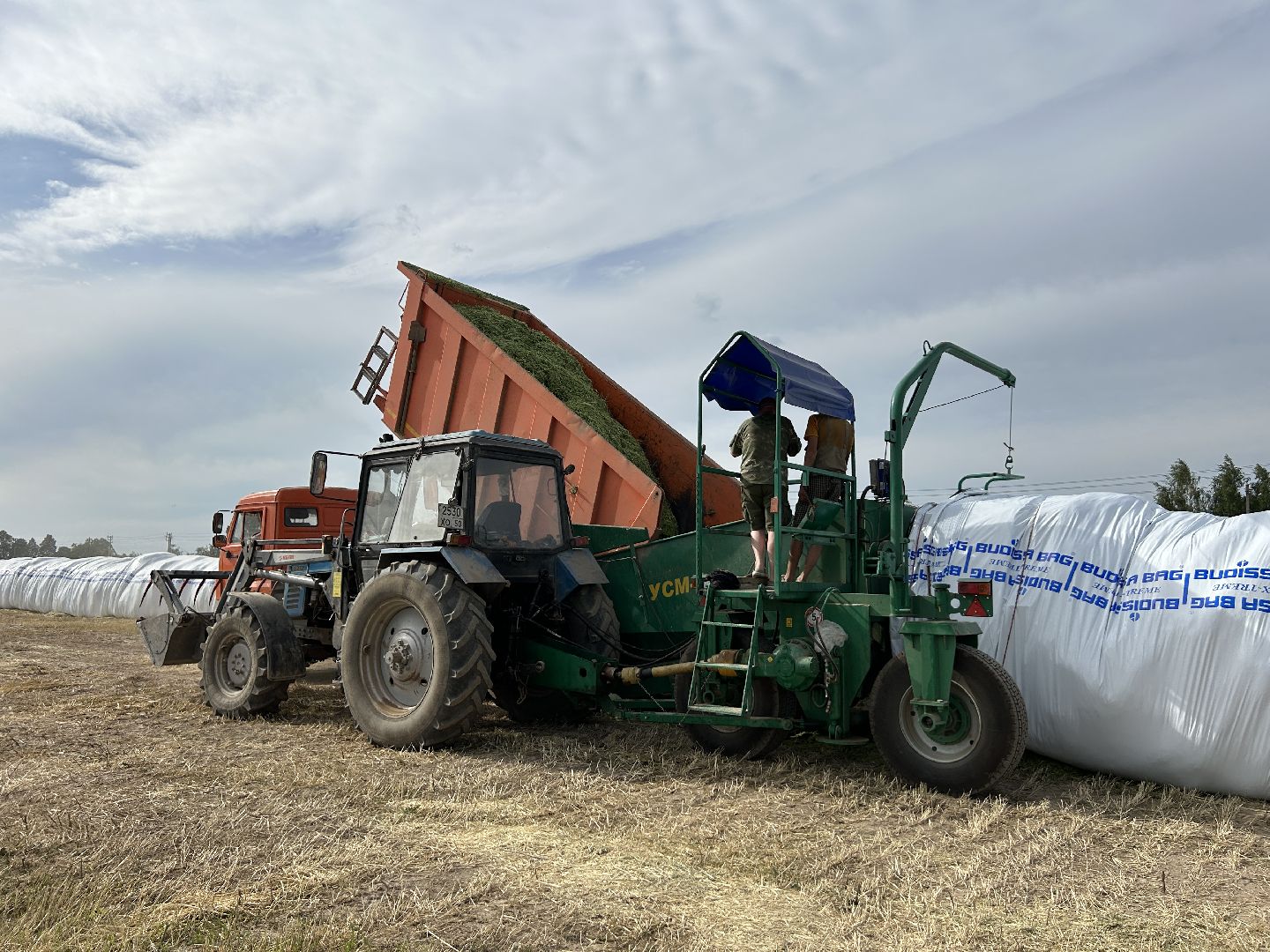 сельское хозяйство, ферма, аренда земли, Щёлково