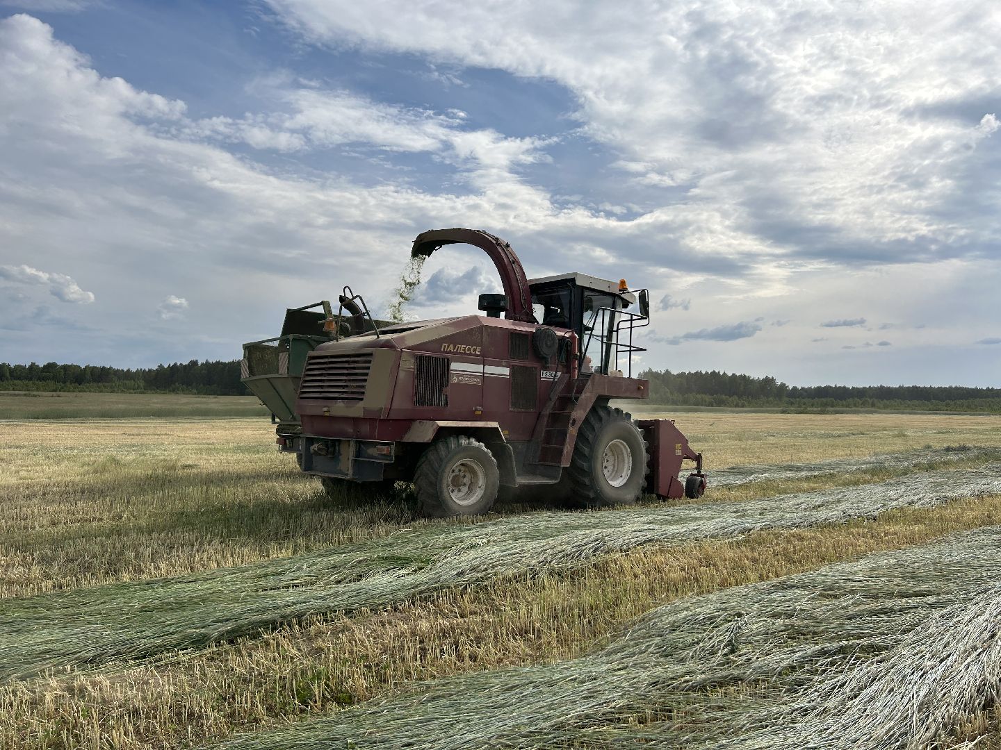 сельское хозяйство, ферма, аренда земли, Щёлково