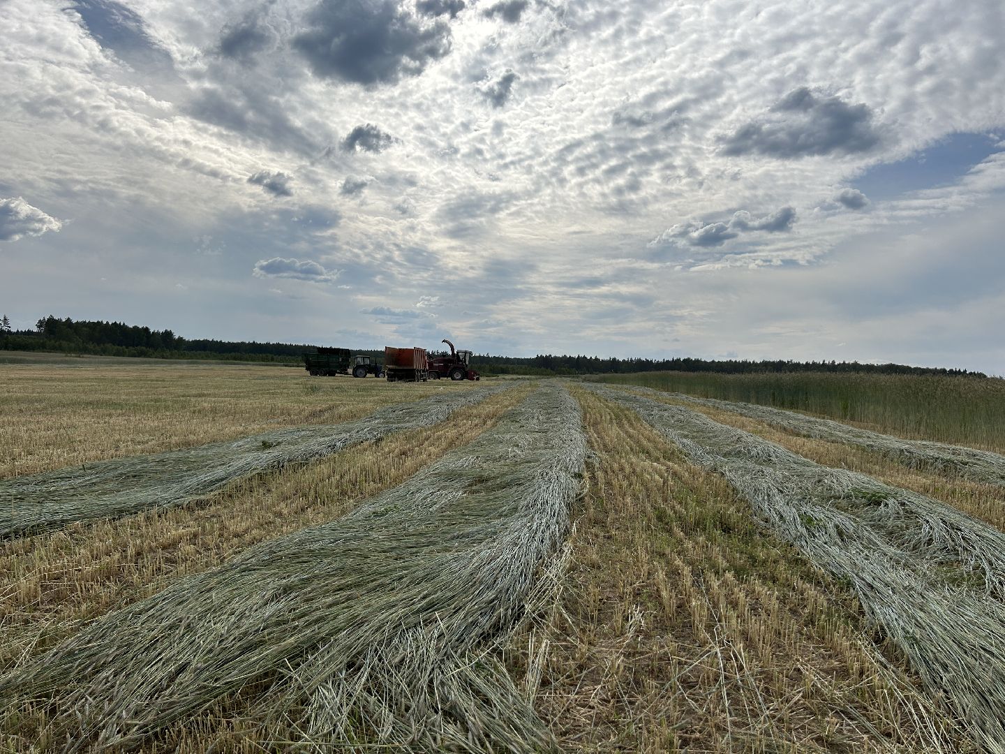 сельское хозяйство, ферма, аренда земли, Щёлково
