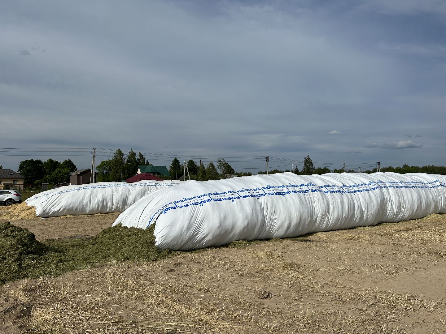 сельское хозяйство, ферма, аренда земли, Щёлково