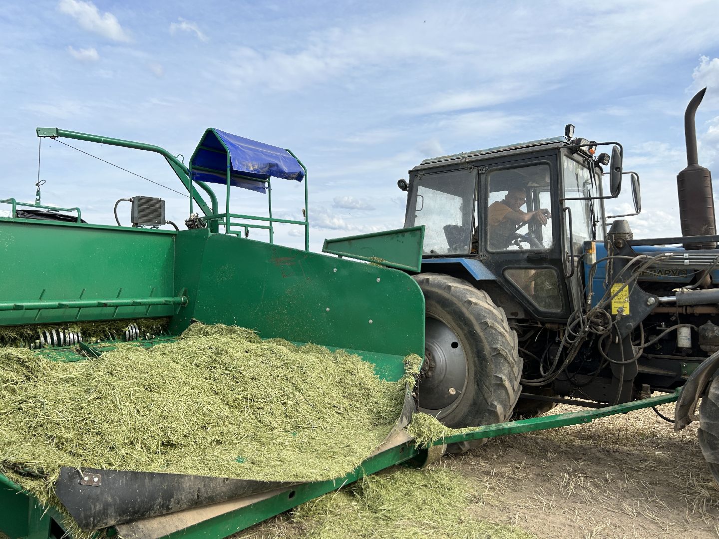 сельское хозяйство, ферма, аренда земли, Щёлково