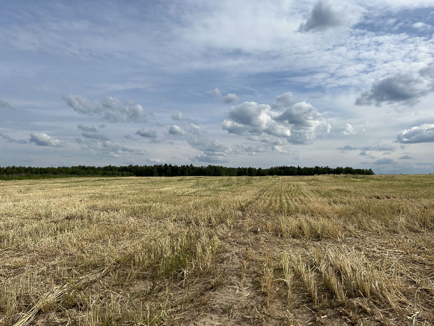 сельское хозяйство, ферма, аренда земли, Щёлково