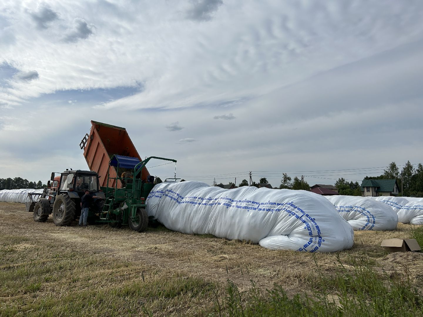 сельское хозяйство, ферма, аренда земли, Щёлково