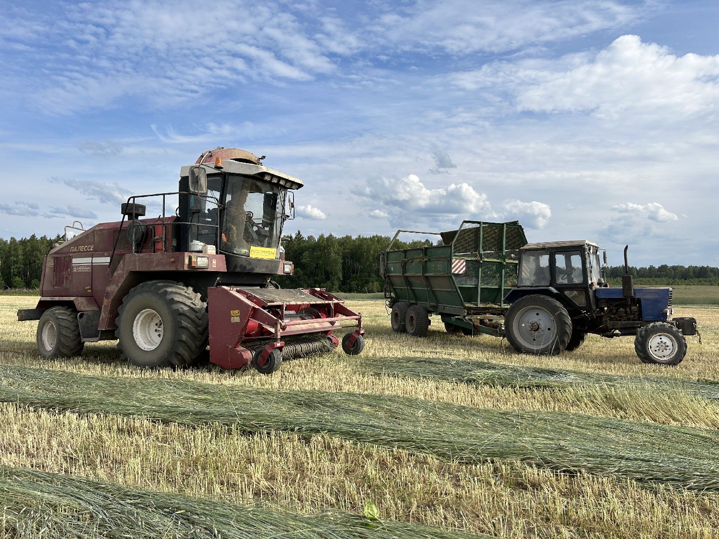 сельское хозяйство, ферма, аренда земли, Щёлково