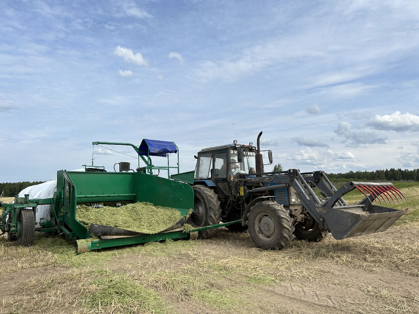 сельское хозяйство, ферма, аренда земли, Щёлково