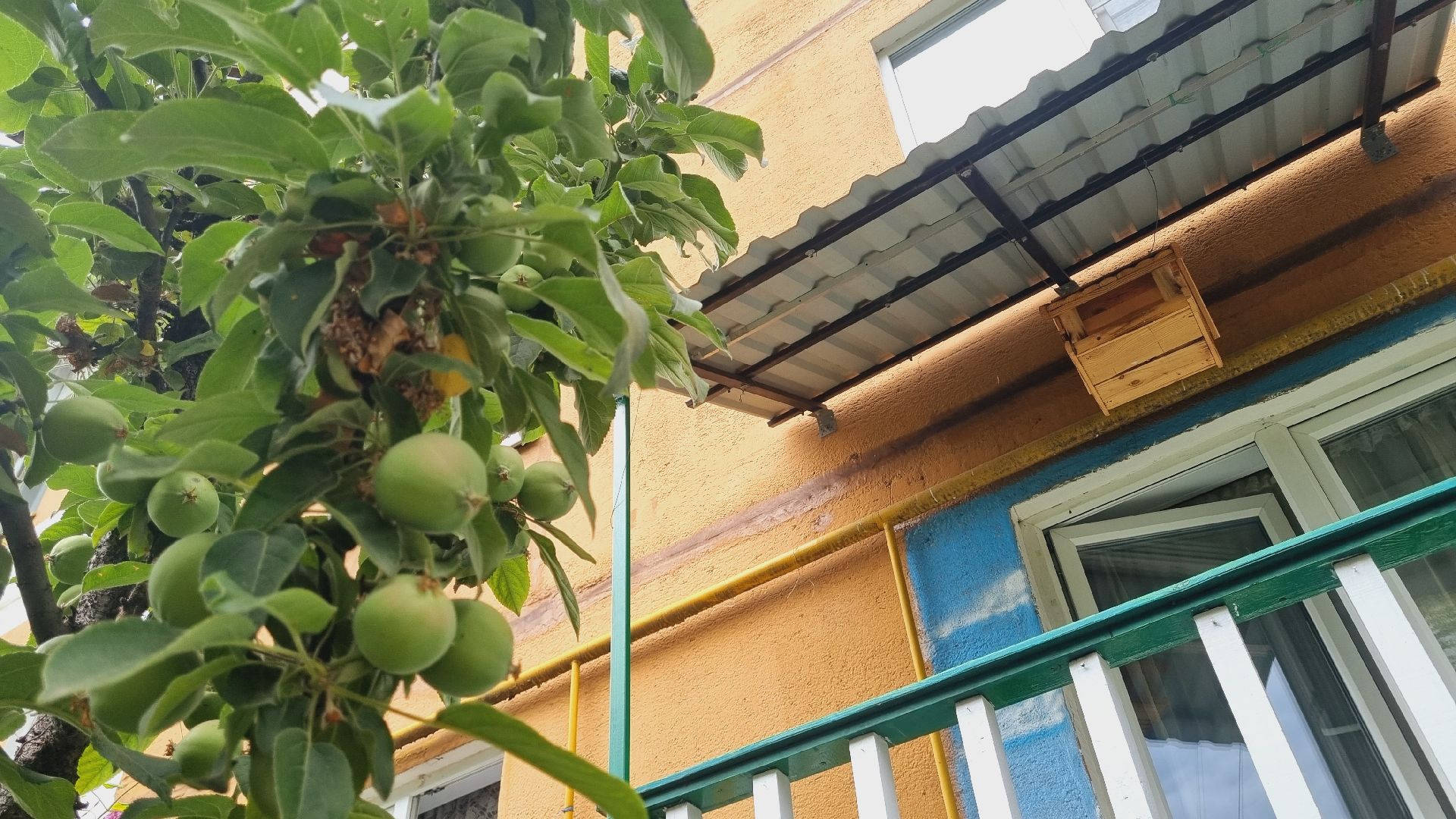 Подмосковье, Ивантеевка, благоустройство