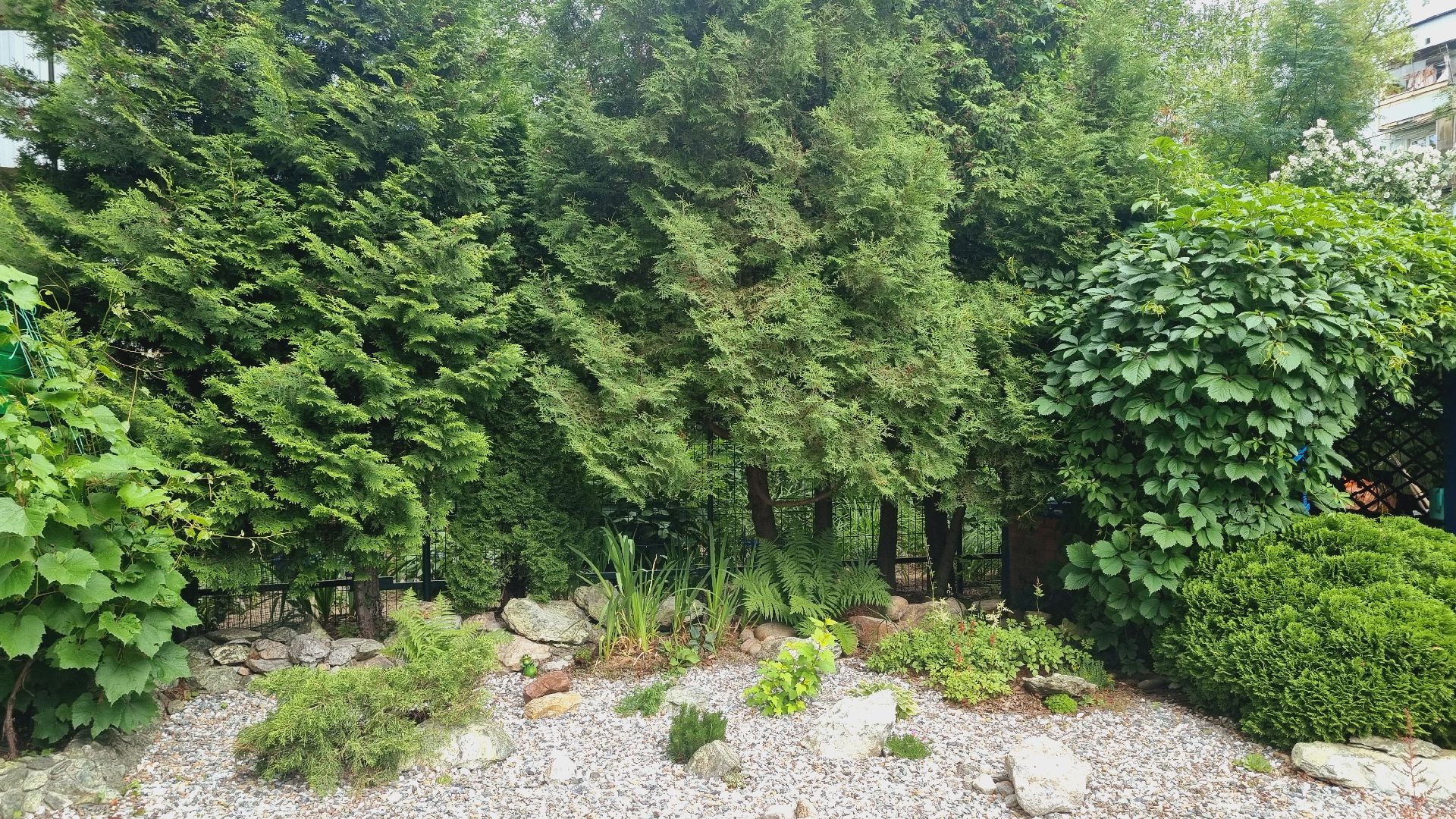 Подмосковье, Ивантеевка, благоустройство