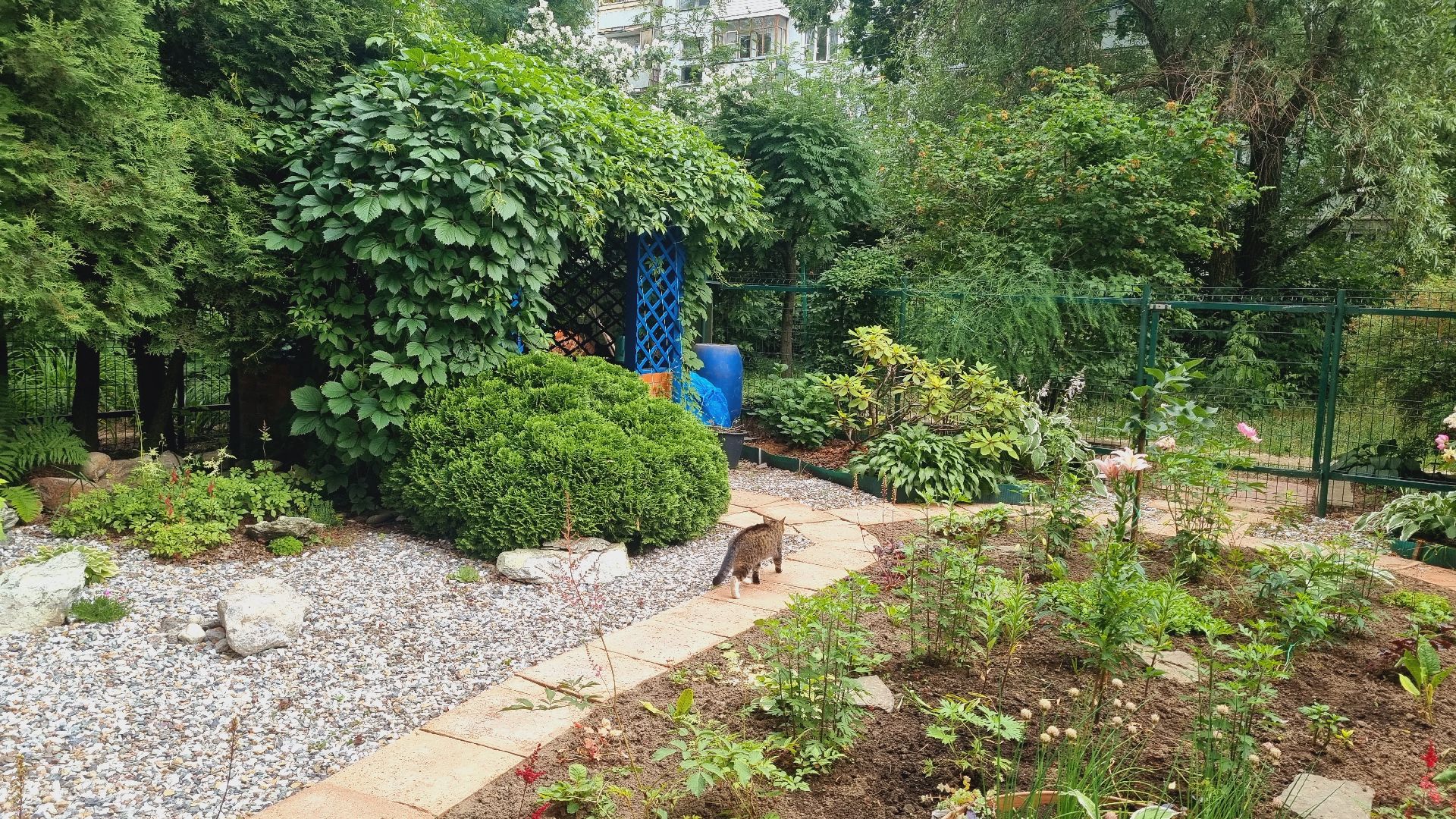 Подмосковье, Ивантеевка, благоустройство