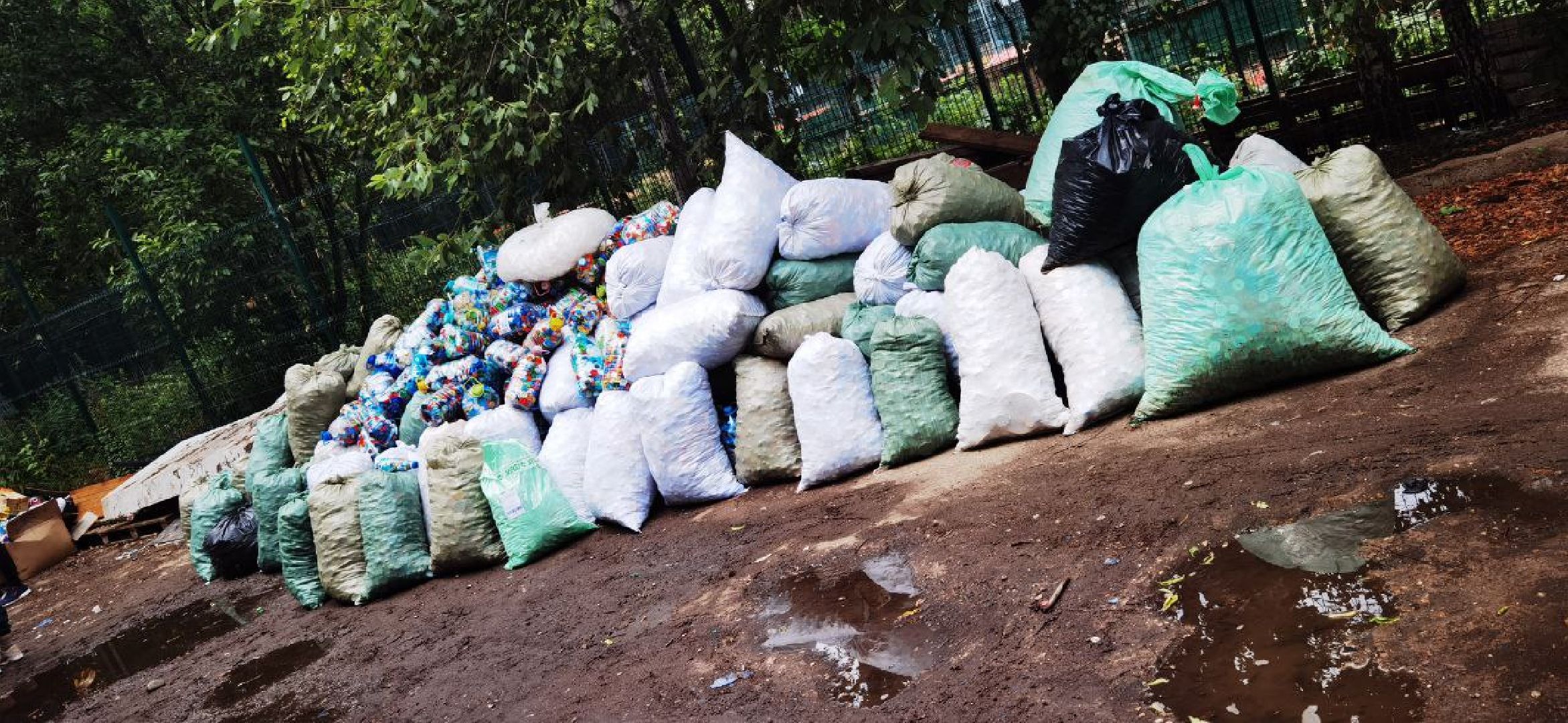 Домодедово, волонтеры, приют, крышечки добра, пластиковые крышечки