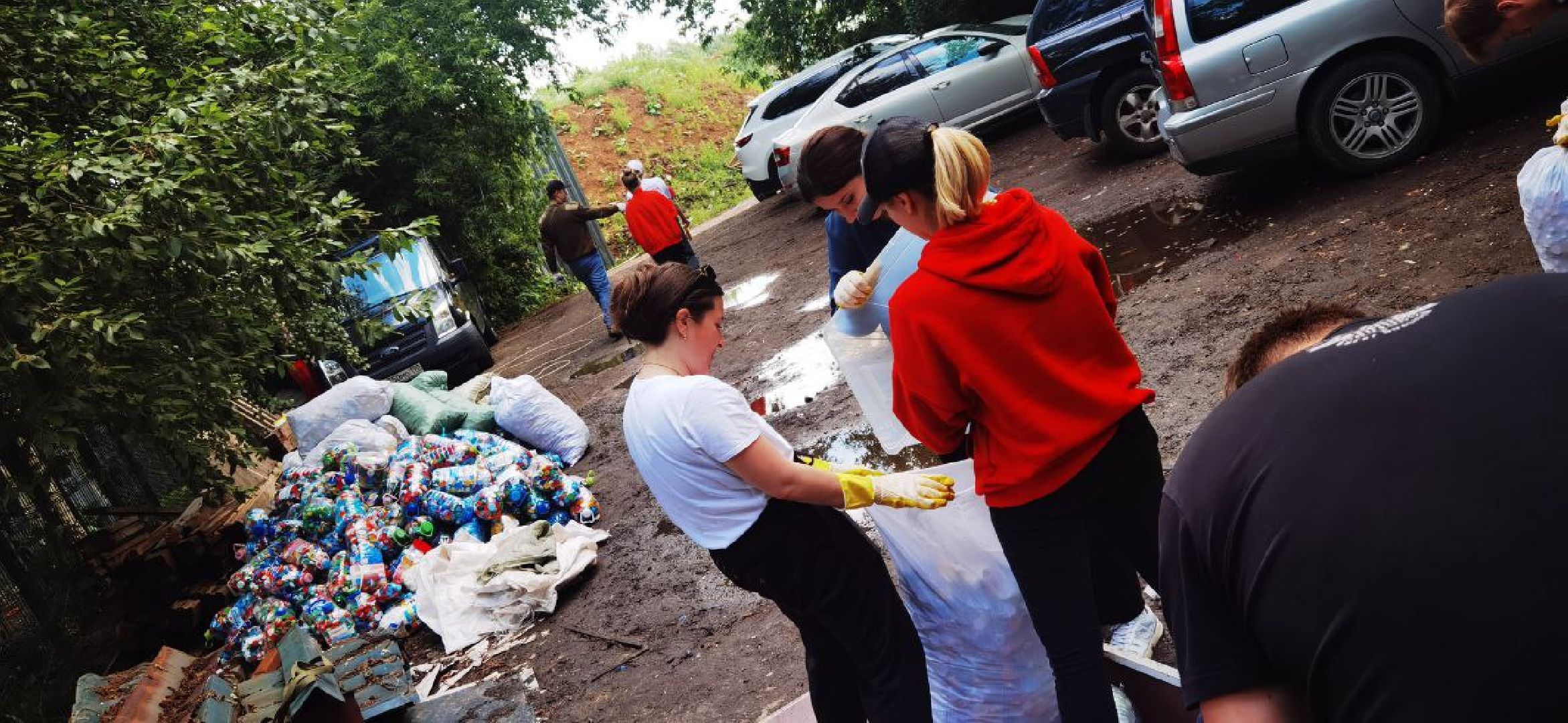 Домодедово, волонтеры, приют, крышечки добра, пластиковые крышечки