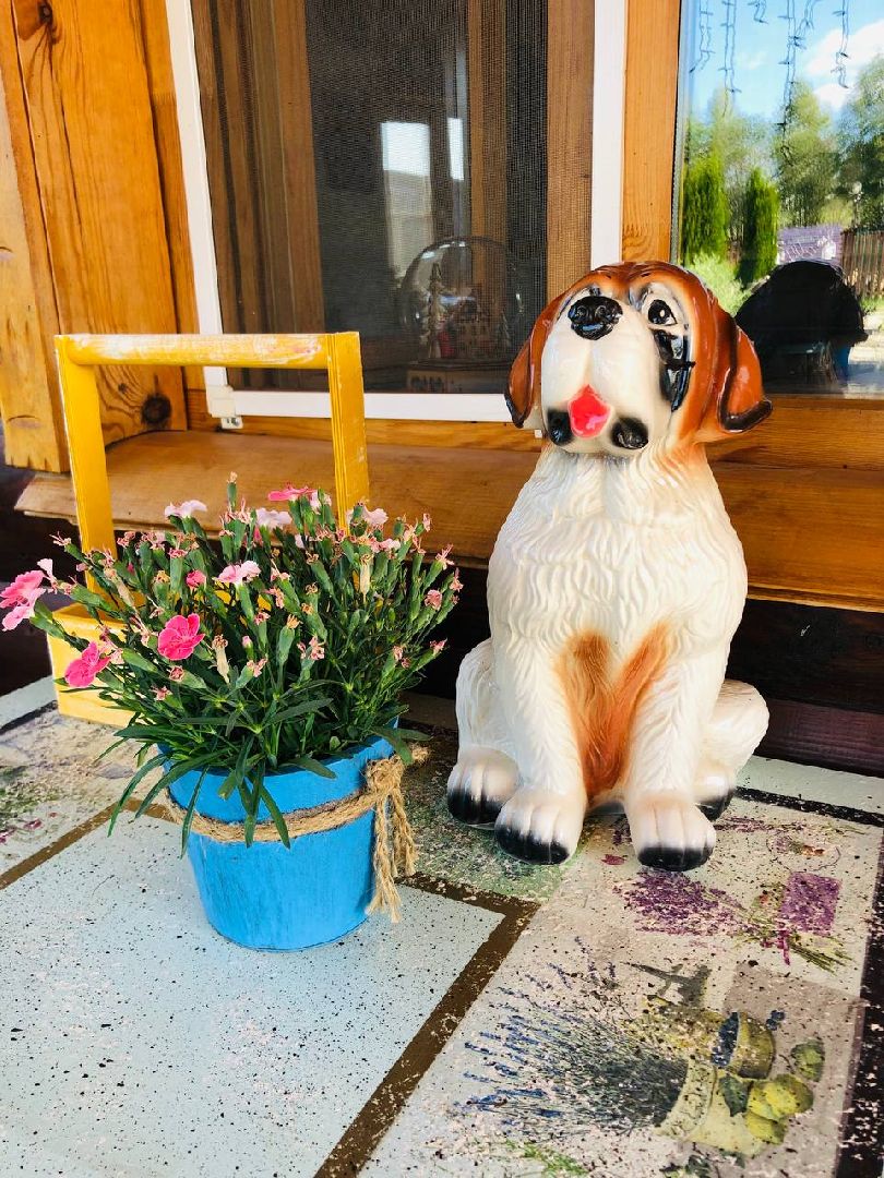 Руза, хаскидеревня, собаки, рузская Аляска, животные, туризм, дог-трекинг, катание на упряжках